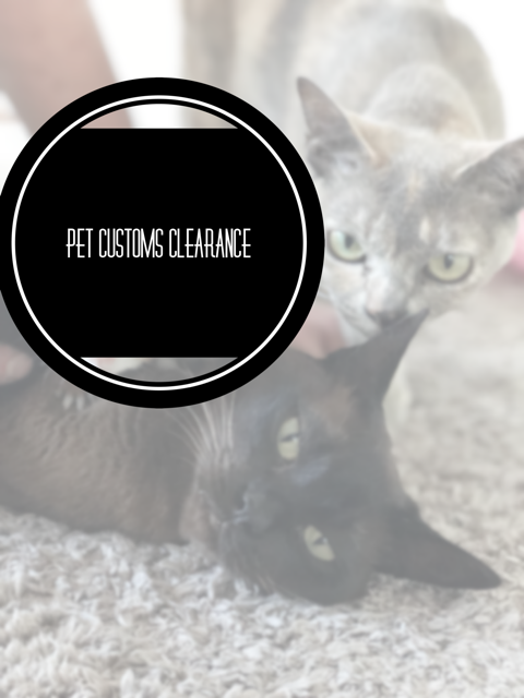 pet clearance, customs clearance, animal clearance, animal customs clearance, clearing dog through customs, customs clearance dog, customs clearance cat, australian animal clearance